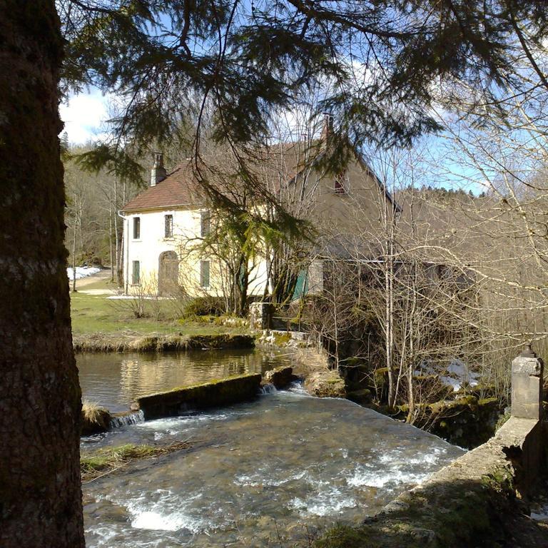 Au Moulin Des Fees - Maison D'Hotes Cascades Du Herisson Bonlieu Екстериор снимка