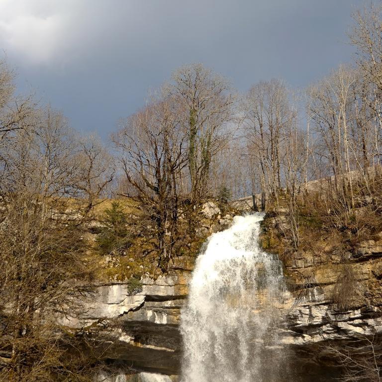 Au Moulin Des Fees - Maison D'Hotes Cascades Du Herisson Bonlieu Екстериор снимка